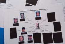 Why the Epstein Files were Released & the Depravity of the Western Elite